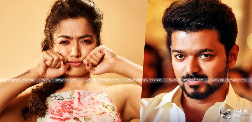 rashmika-mandanna-for-vijay-movie