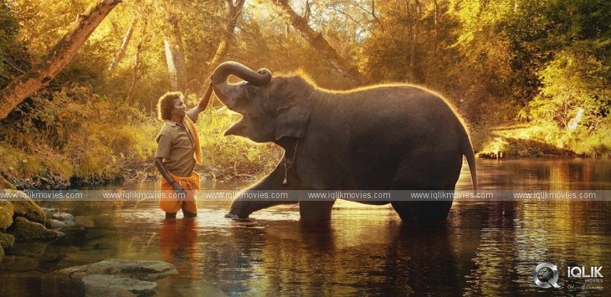 india-s-the-elephant-whispers-gets-an-oscar