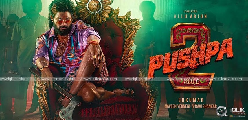 Watch Pushpa 2 In Language You Want!