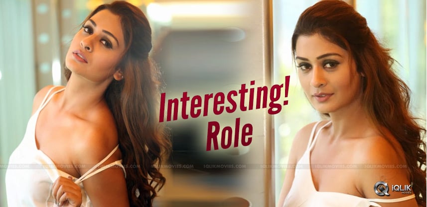 payal-rajput-next-movie-role