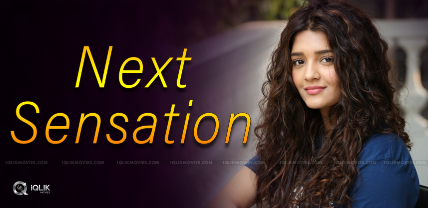 ritika-sigh-will-be-the-next-sensation-