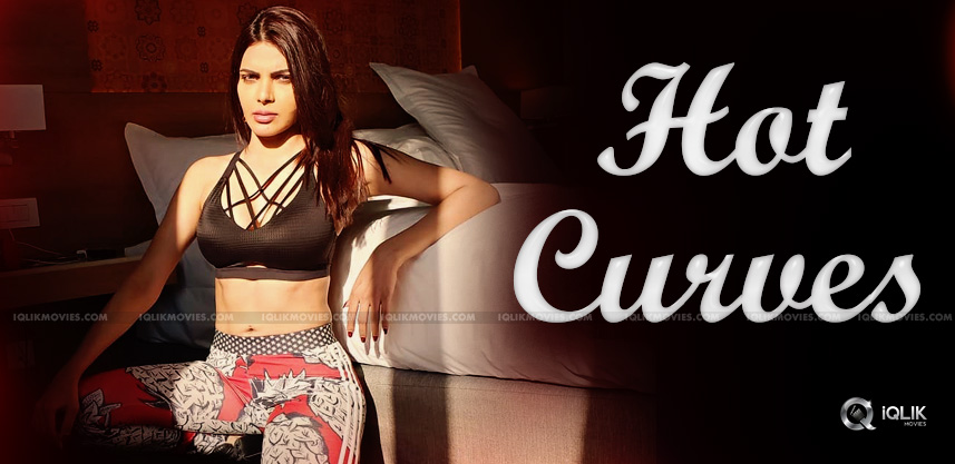 sherlyn-chopra-s-hot-sexy-shade