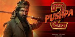 pushpa-2-the-rule-pre-release-business-touches-1000-cr