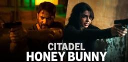 citadel-honey-bunny-trailer-entertaining-spies