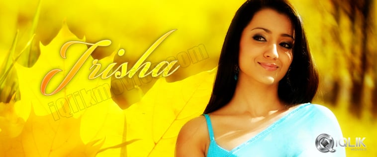 758px x 317px - Trisha Profile, Telugu Movie Actor