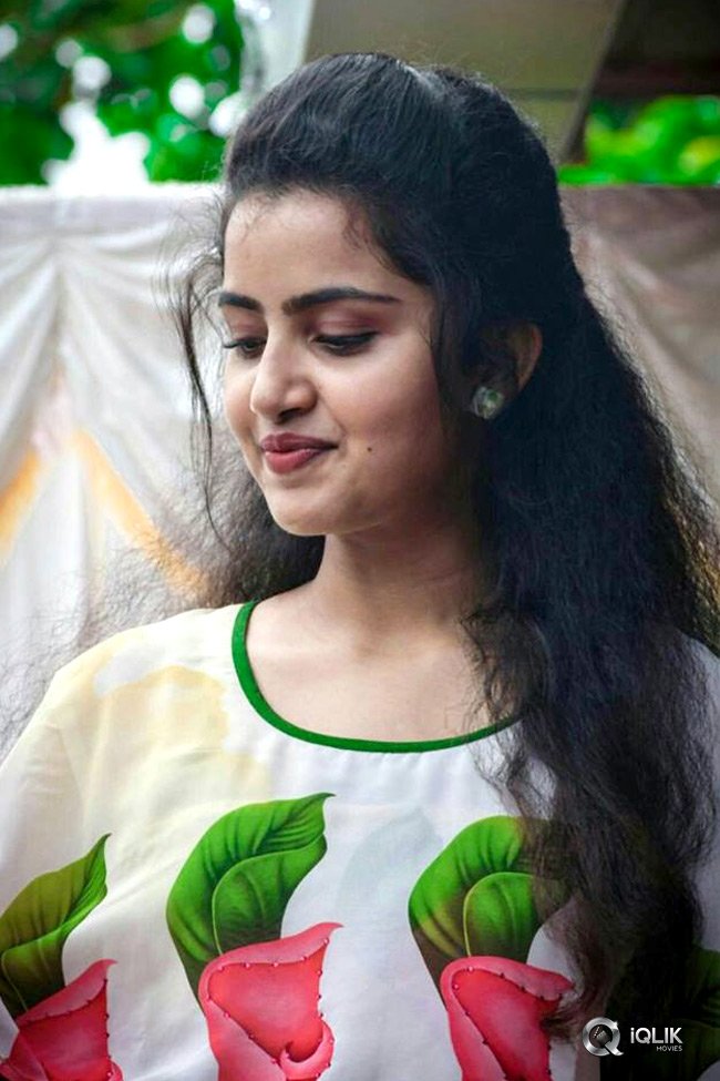 Actress Anupama Parameswaran Latest Photos, Photo Shoot, Hot Photos.